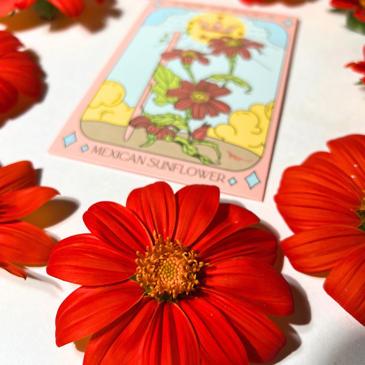 Seed Packet- Mexican Sunflower Tarot Garden + Gift