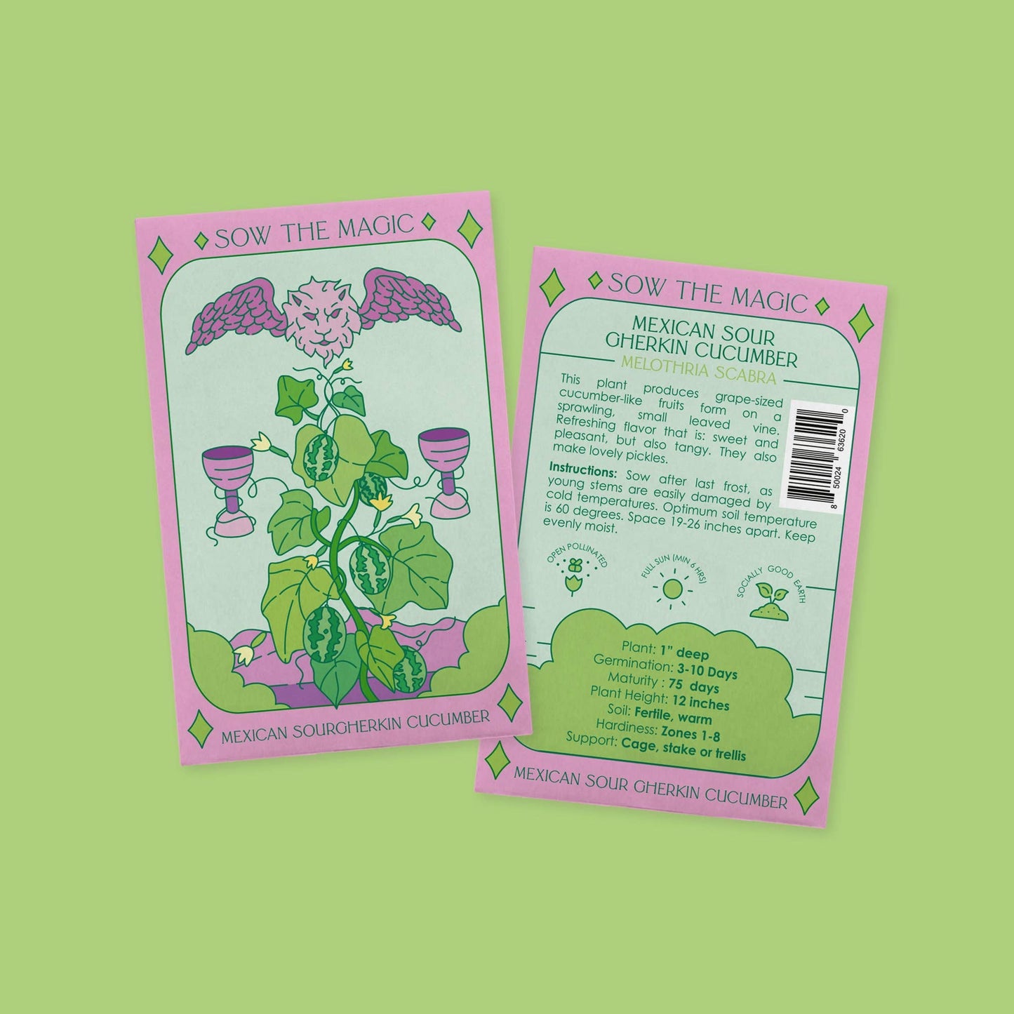 Seed Packet- Mexican Sour Gherkin Cucumber Garden + Gift