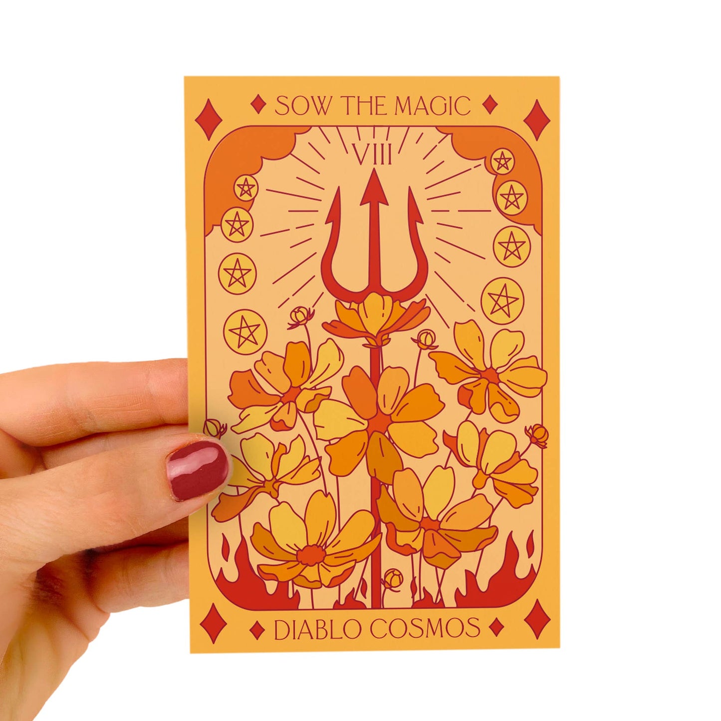 Seed Packet- Diablo Cosmos Tarot Garden + Gift