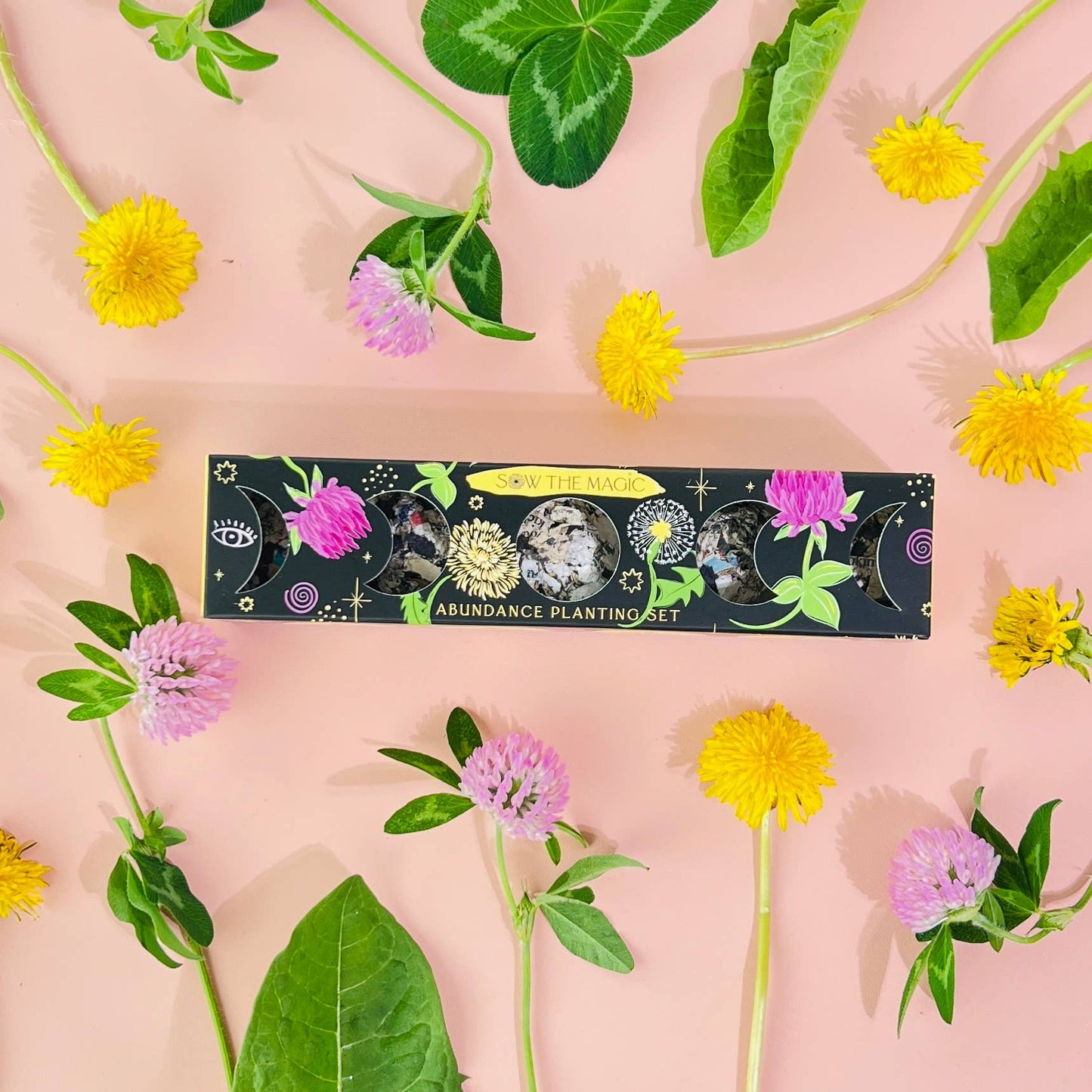 Seed Ball Set- Moon Phase Abundance