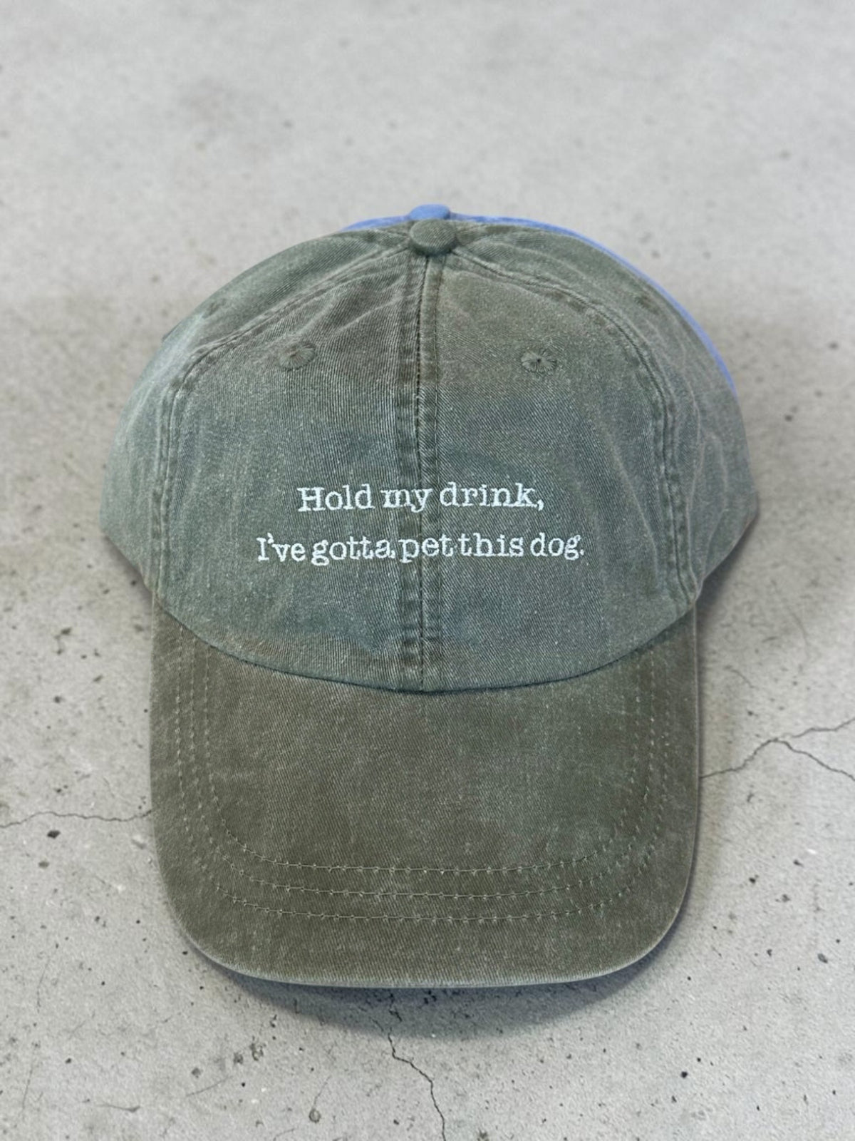 Hold My Drink, I've Gotta Pet This Dog Baseball Cap