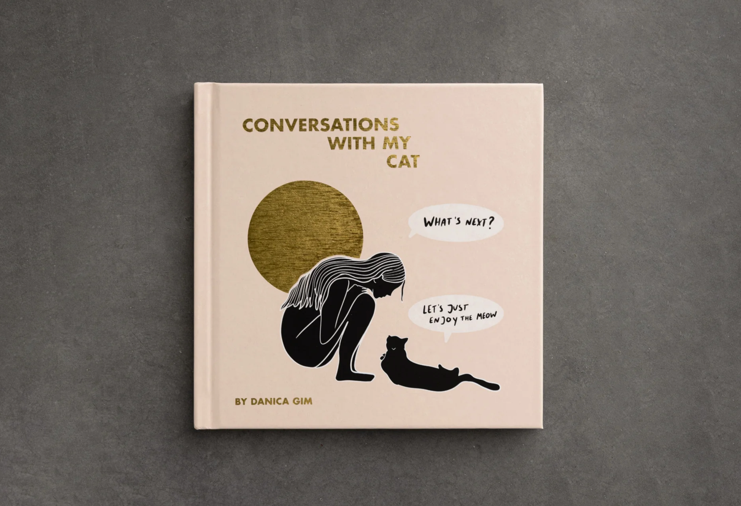 Conversations With My Cat - illustrated book