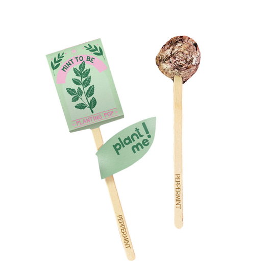 Planting Pop - Mint To Be 💚