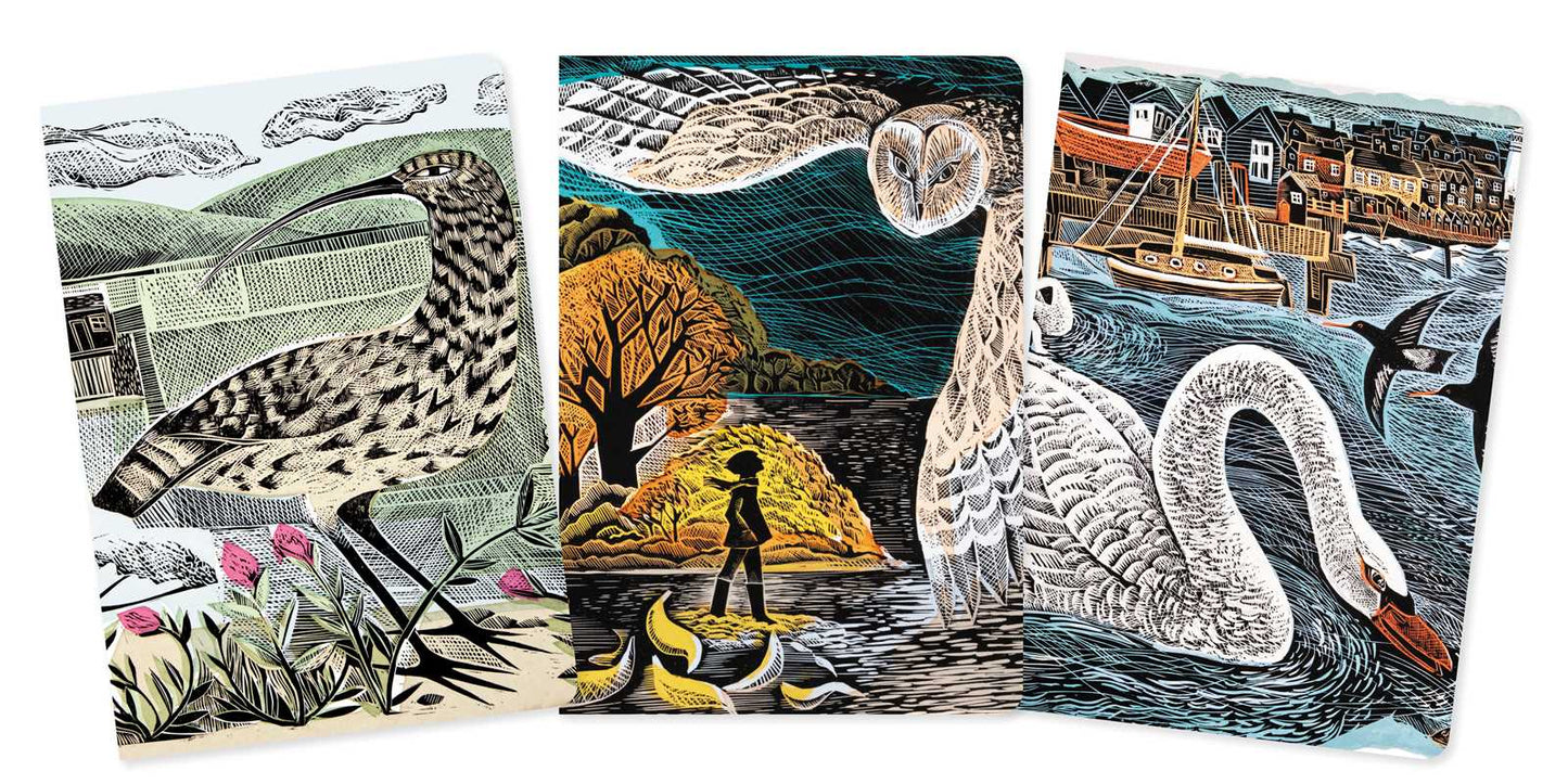 Angela Harding: Wildlife Set of 3 Standard Notebooks by