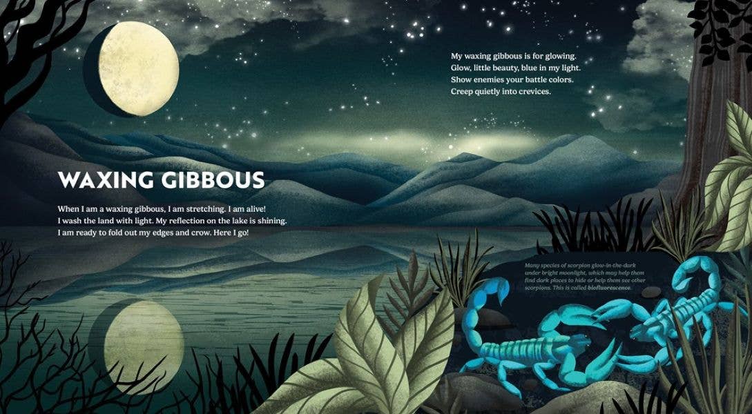 Wild Moon: How the Lunar Phases Light Up Our World