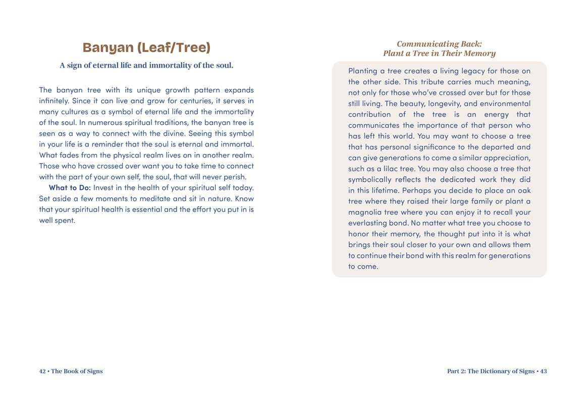 Book of Signs by Mystic Michaela