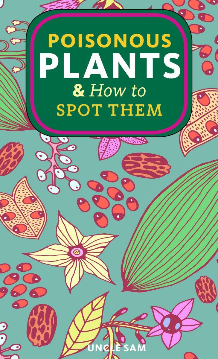 Poisonous Plants & How to Spot Them (Zine)