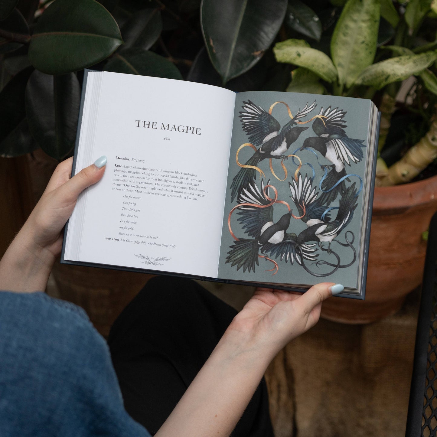 Ornithography by Jessica  Roux