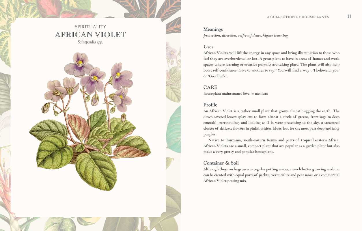 Language of Houseplants by Cheralyn Darcey