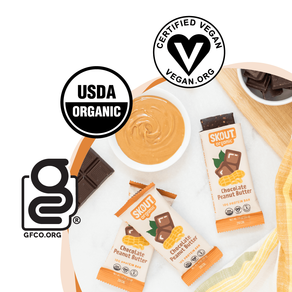 Chocolate Peanut Butter Protein Bar - Skout Organic