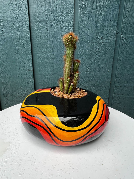 Cactus- Large, flat, black planter with red, orange, yellow ombre waves - 1