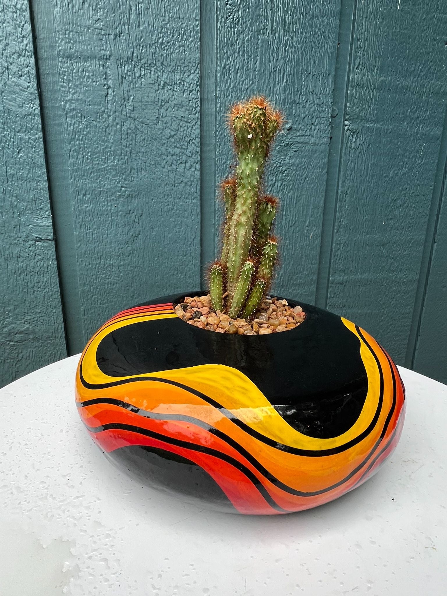 Cactus- Large, flat, black planter with red, orange, yellow ombre waves - 2