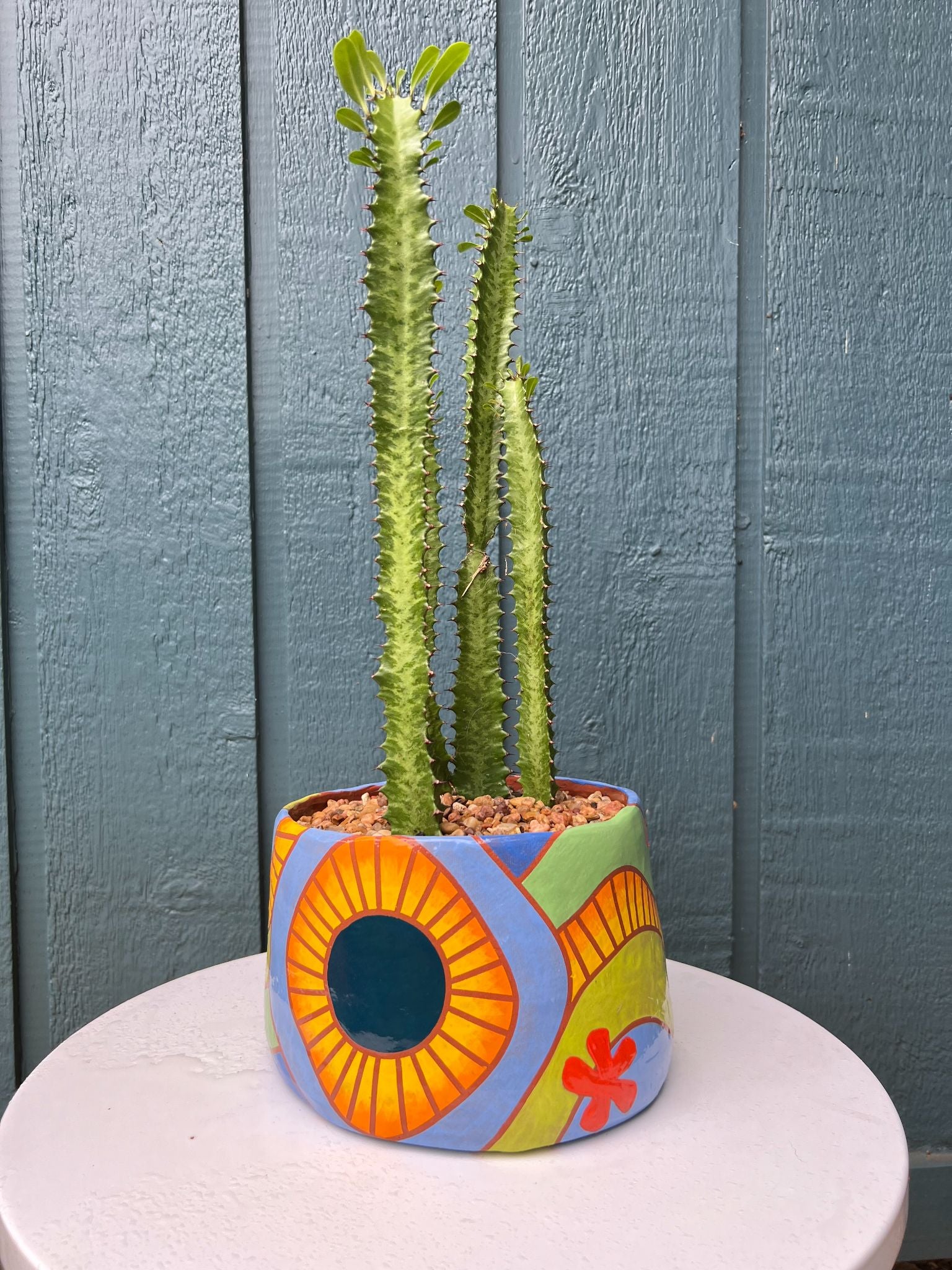 Cactus- Large ceramic planter with rainbow waves, sunshine and flowers.   - 2