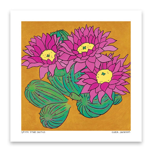 Spiny Star Cactus Art Print - 1