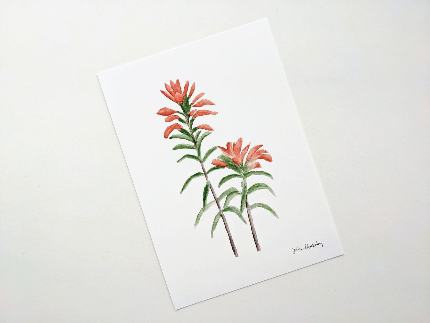 Watercolor Prints - 1