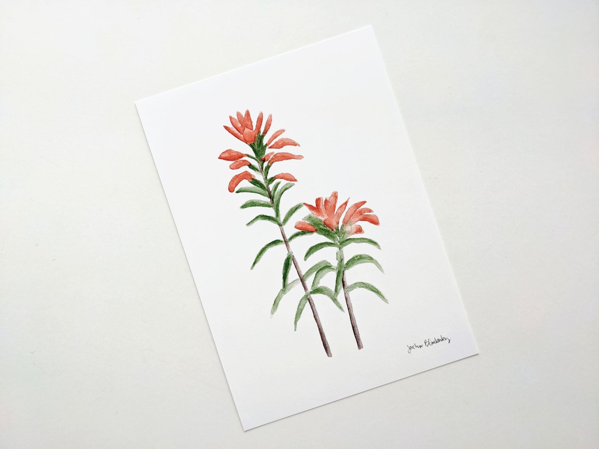 Watercolor Prints - 1