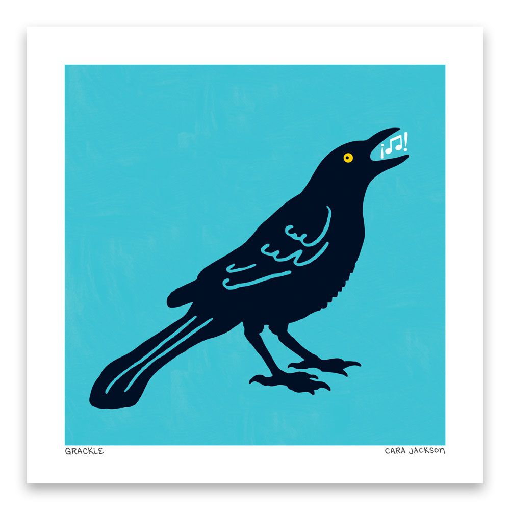 Grackle Art Print - 1