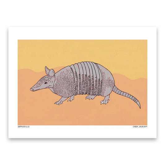 Armadillo Art Print - 1