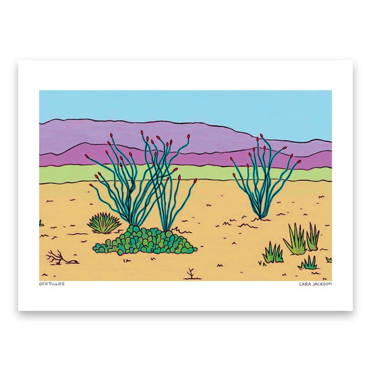 Ocotillos Art Print - 1