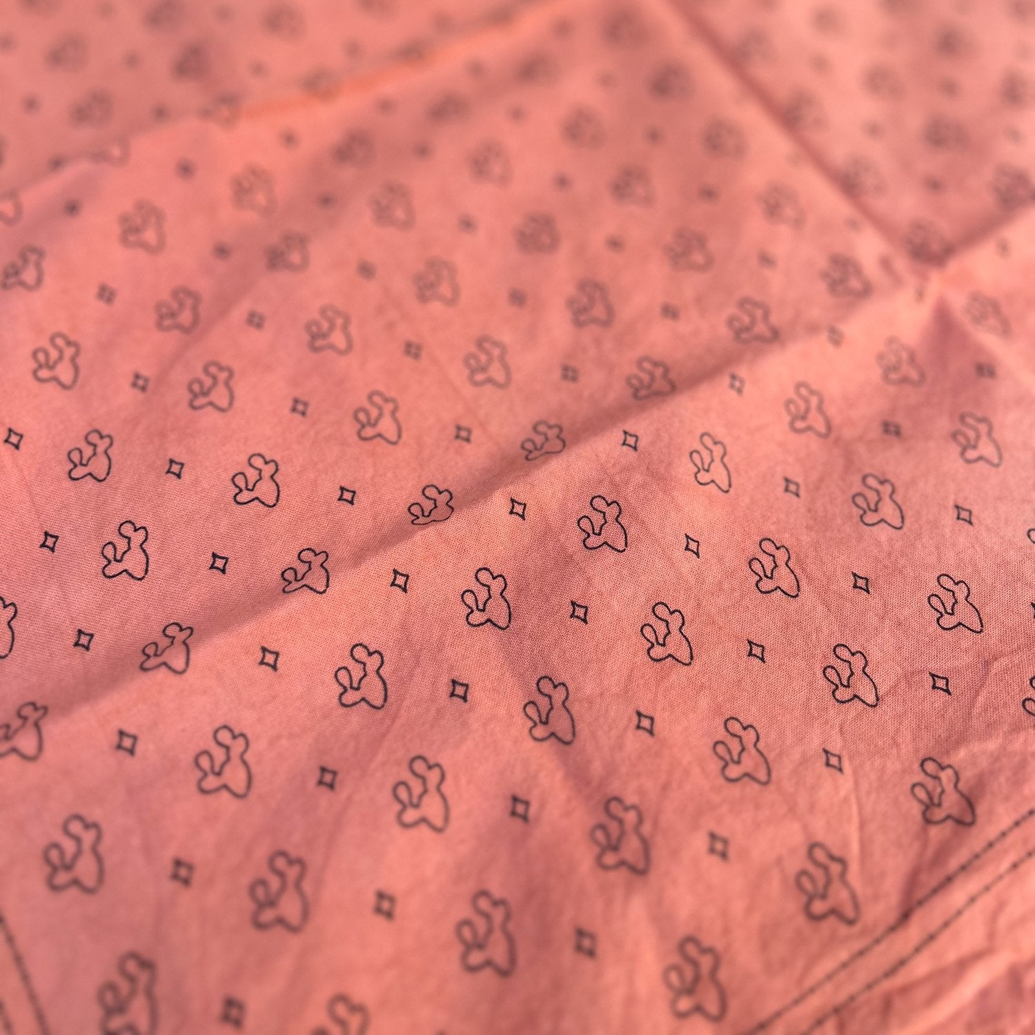 Prickly Pear Cotton Bandana - Muted Rust - 3