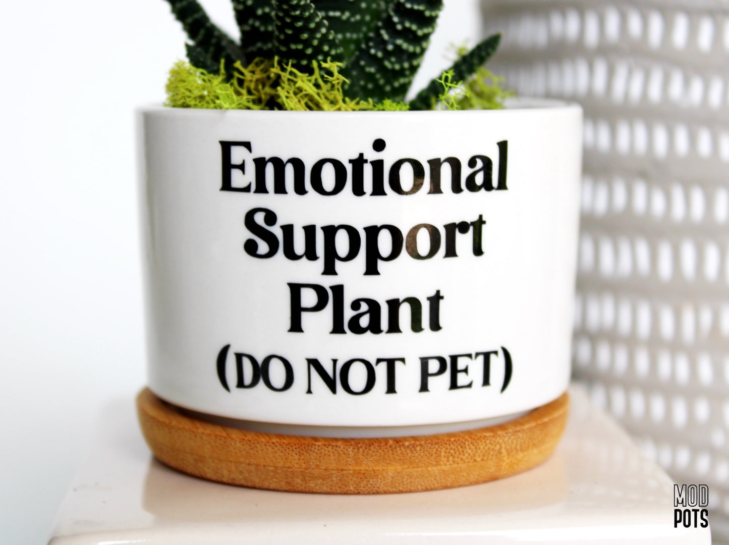 Mod Pots - Emotional Support Plant (DO NOT PET) - 1