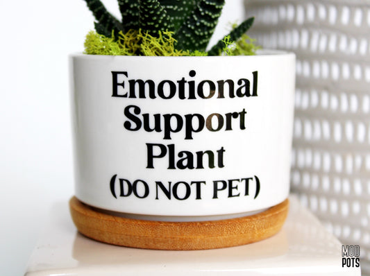 Mod Pots - Emotional Support Plant (DO NOT PET) - 1