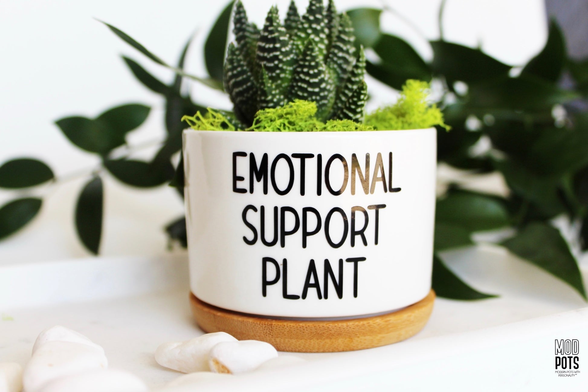 Mod Pots - Emotional Support Plant (R font) - 1