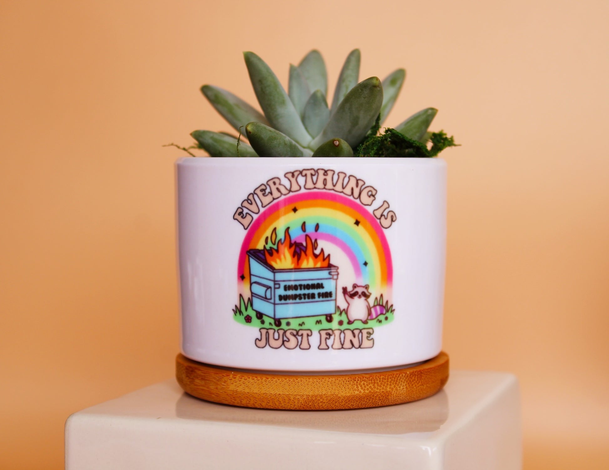 Mod Pots - Everything Is Just Fine (Dumpster Fire) - 1