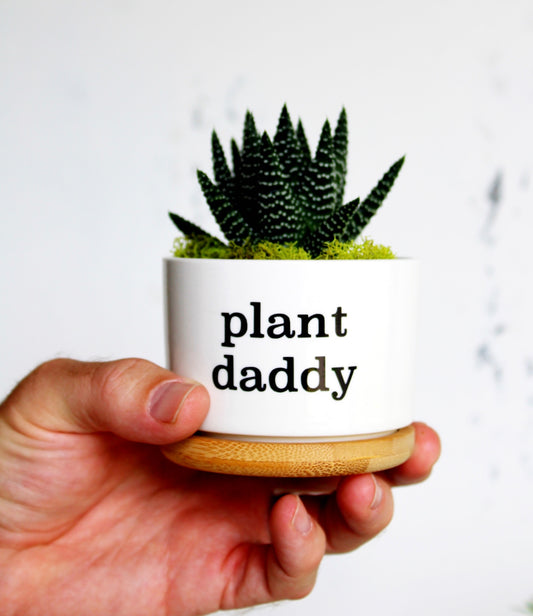 Mod Pots - Plant Daddy - 1