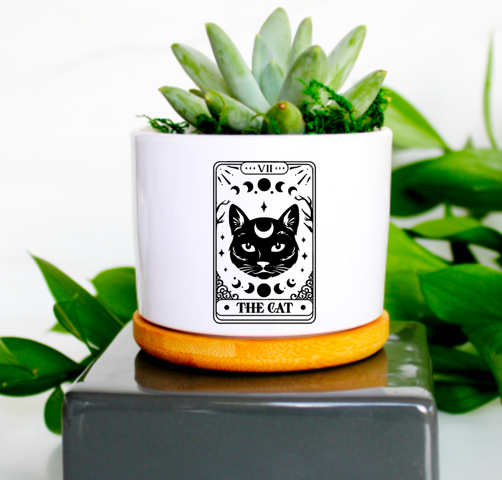 Mod Pots - Tarot Card Cat - 1