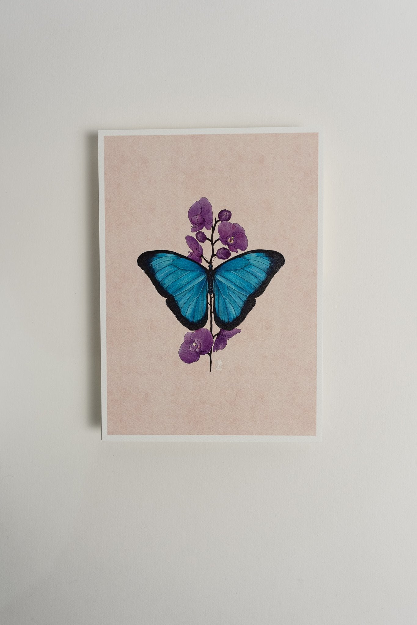 Art Print - Blue Butterfly - 2