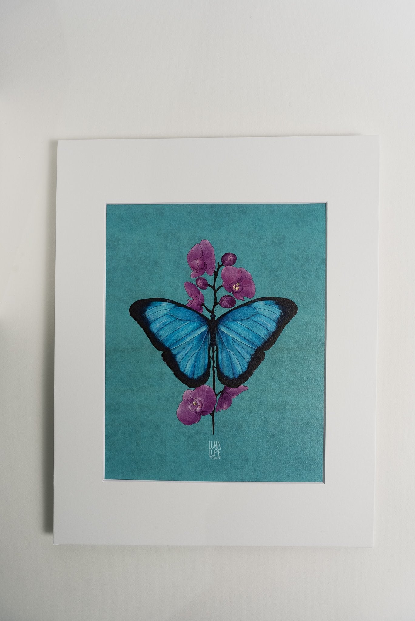 Art Print - Blue Butterfly - 4