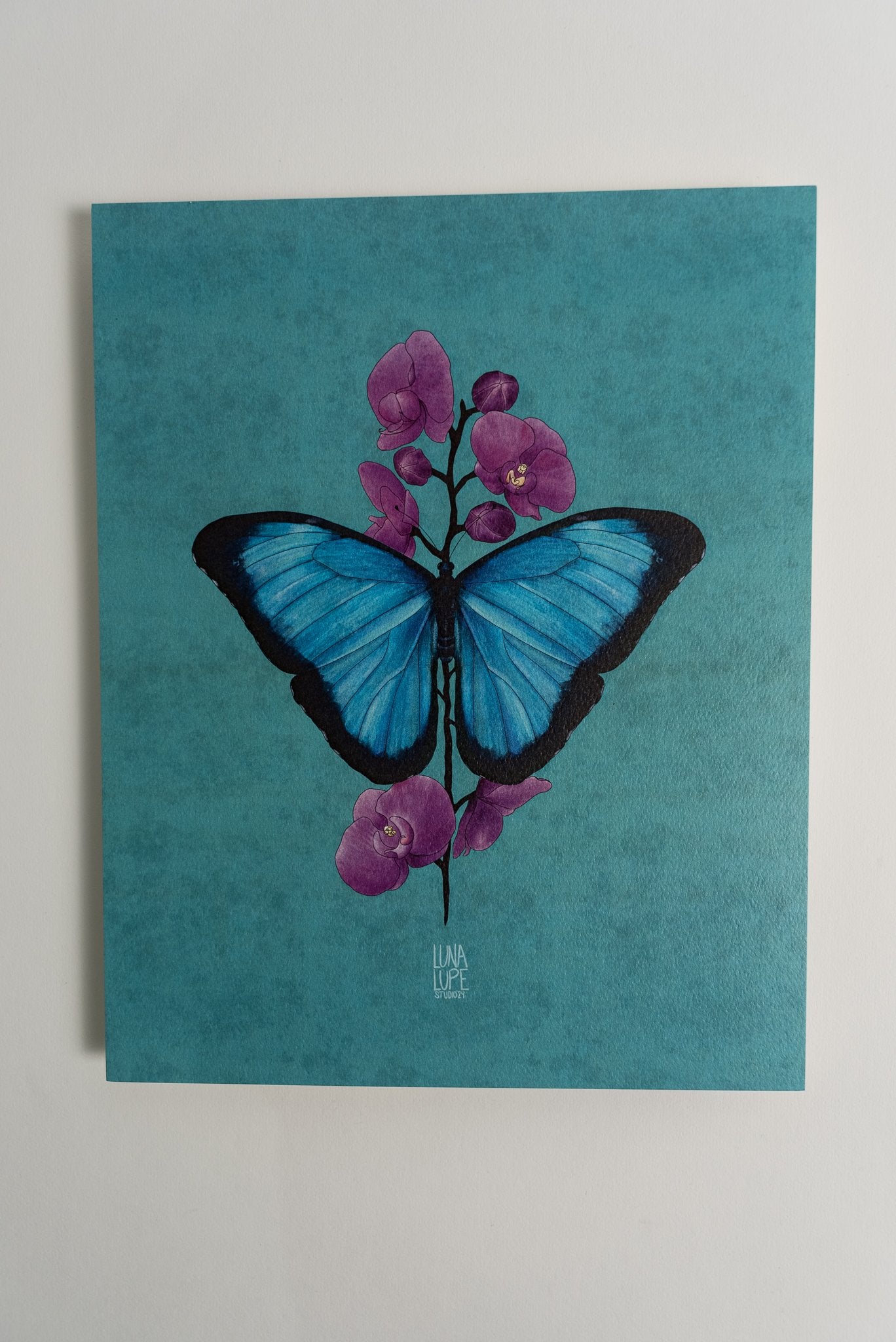 Art Print - Blue Butterfly - 5