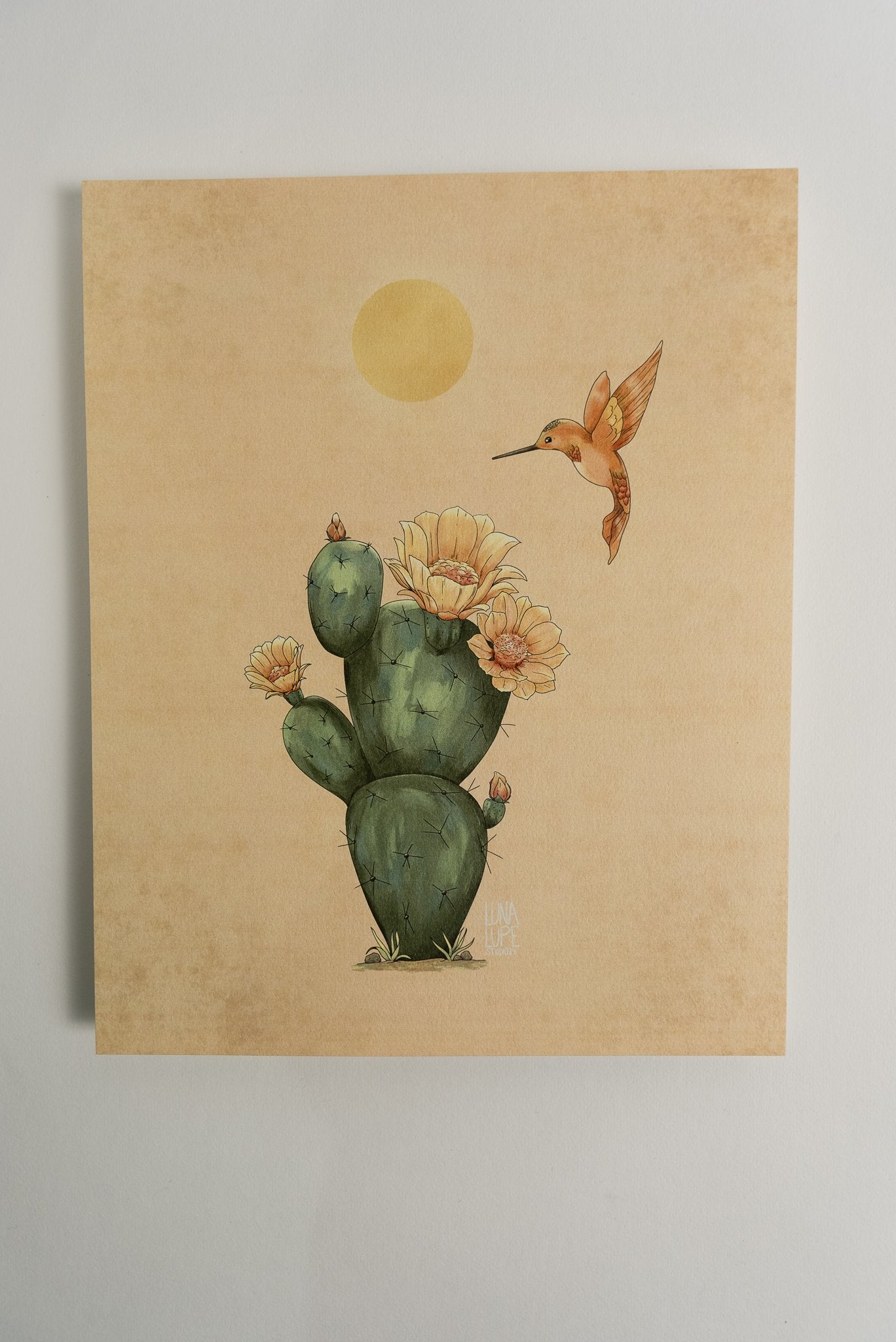 Art Print - Cactus & Hummingbird - 2