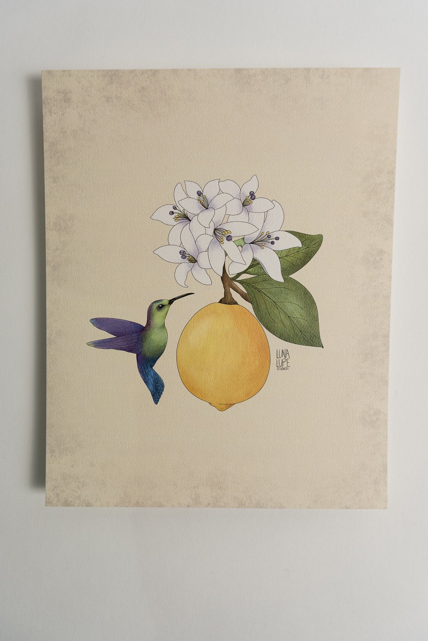 Art Print - Lemon & Hummingbird - 2