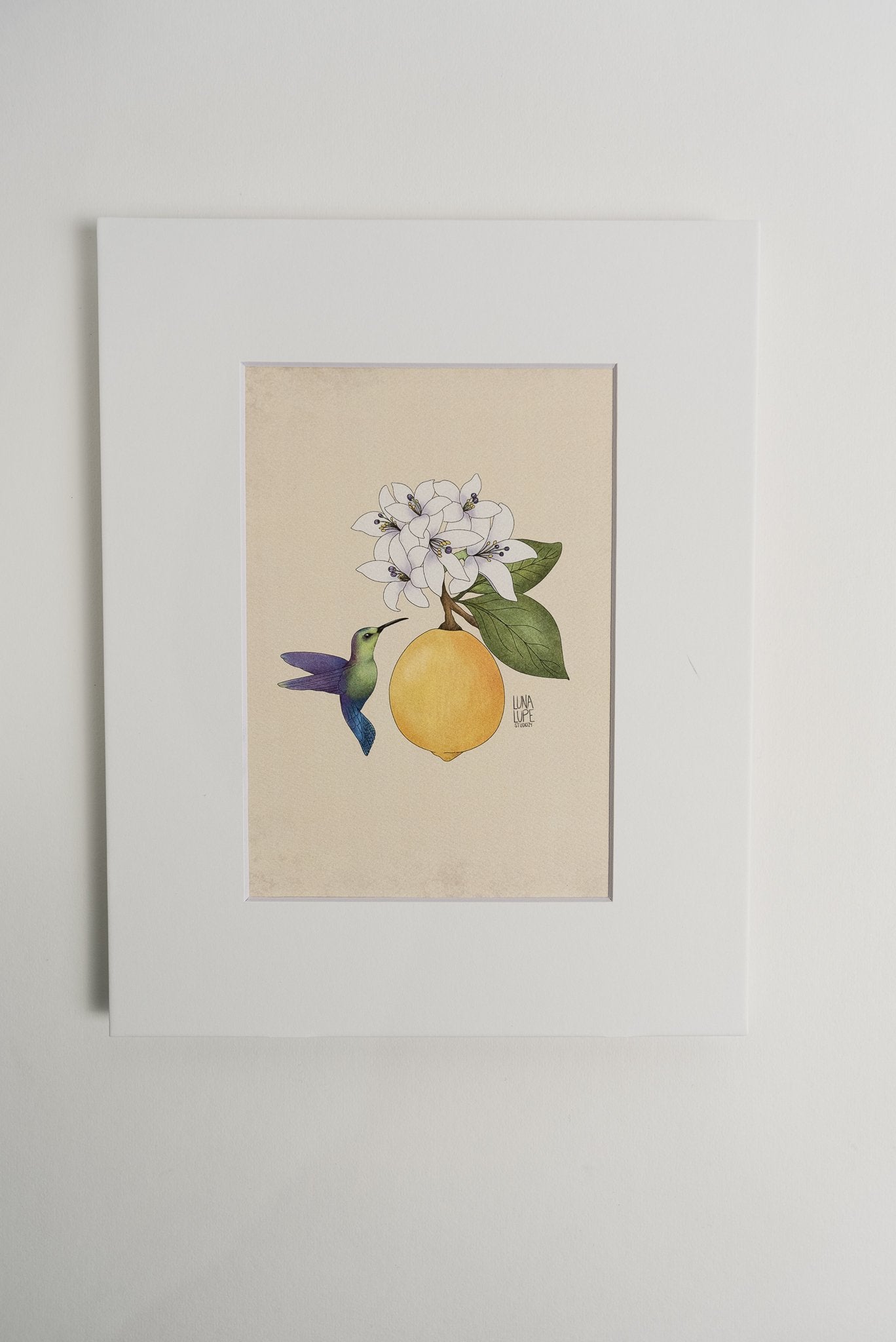 Art Print - Lemon & Hummingbird - 5