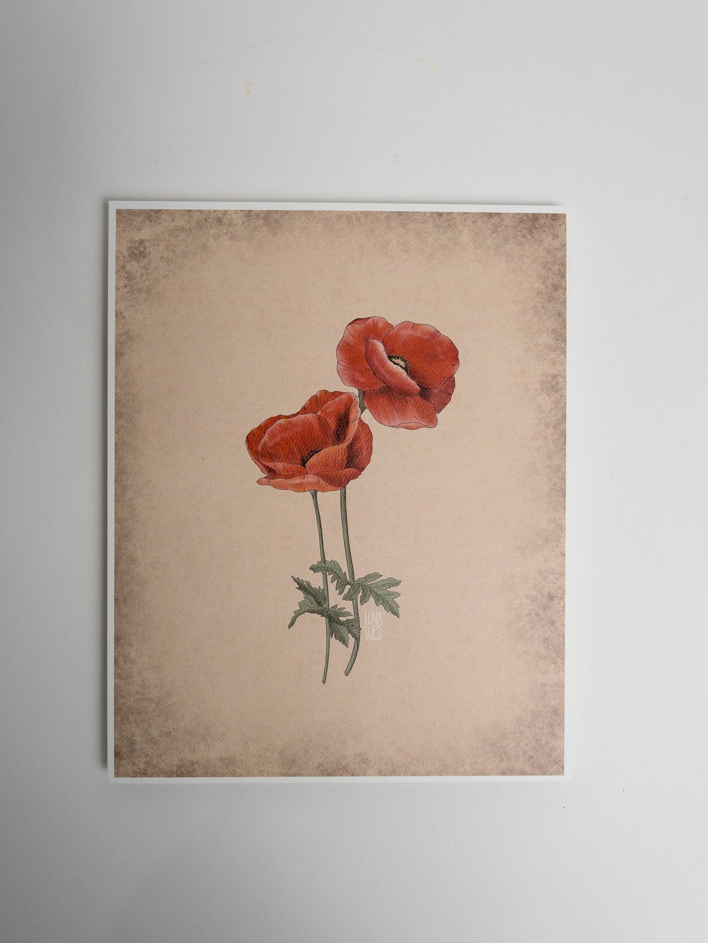 Art Print - Red Poppy - 3