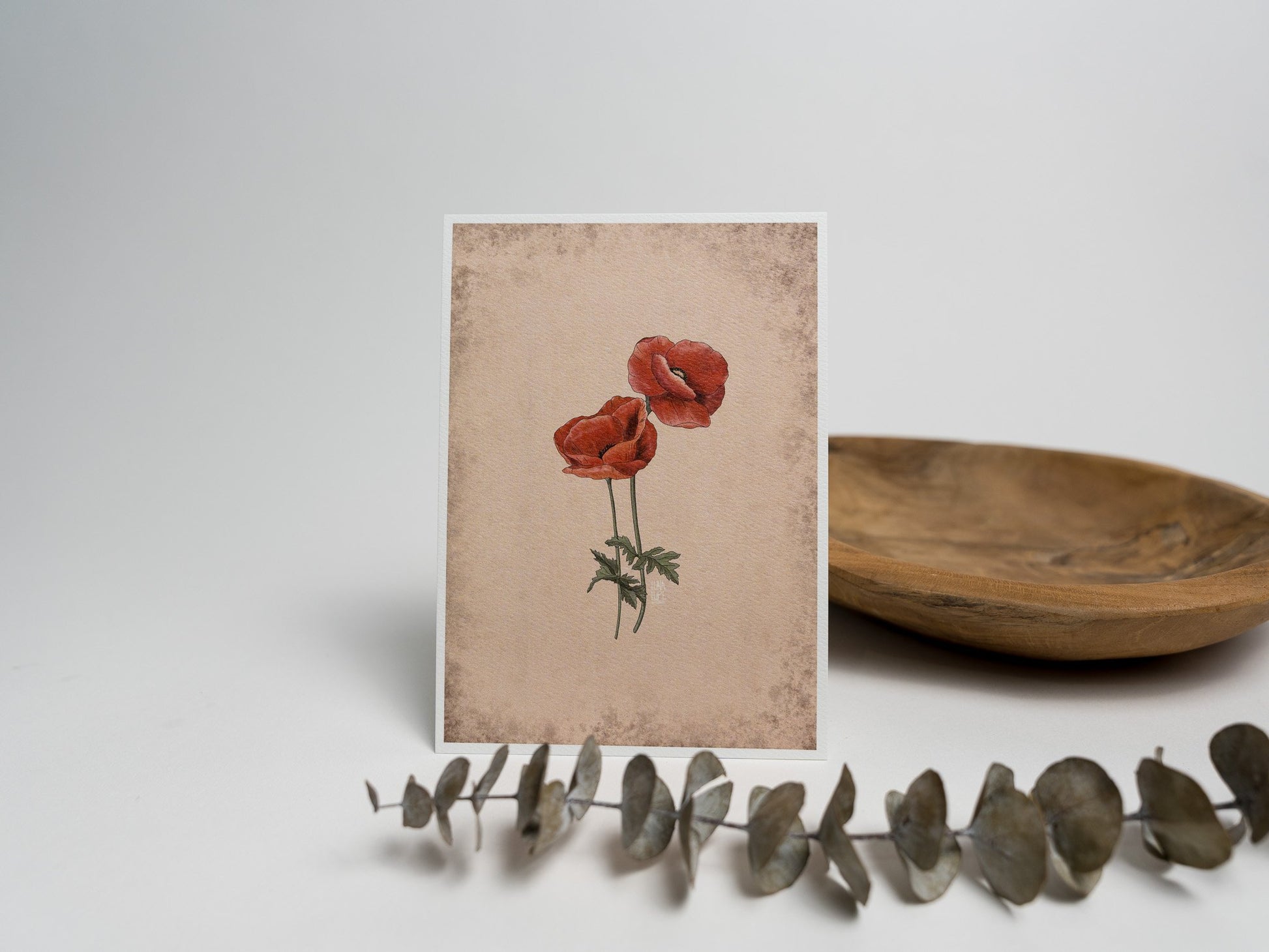 Art Print - Red Poppy - 1