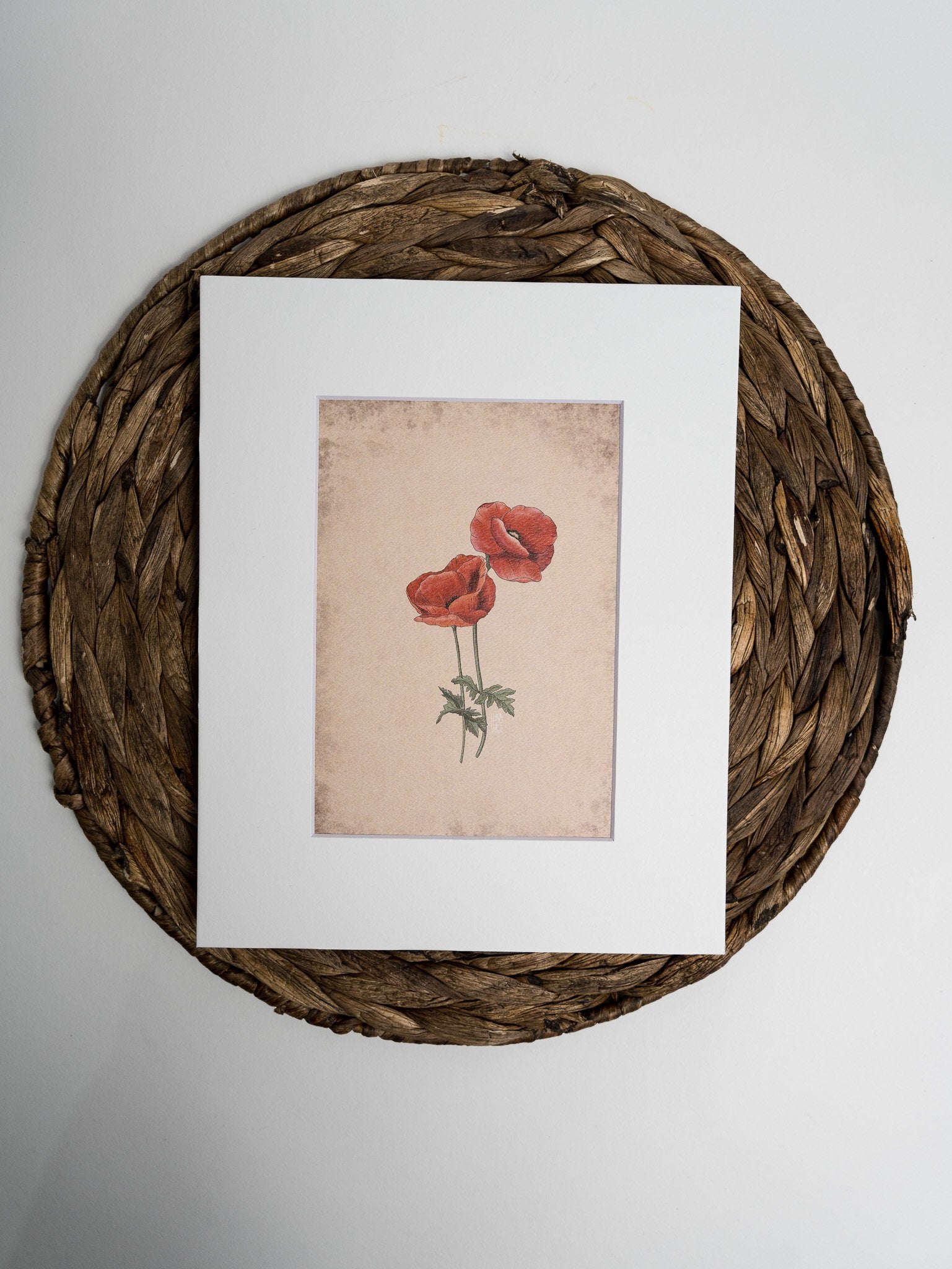 Art Print - Red Poppy - 5