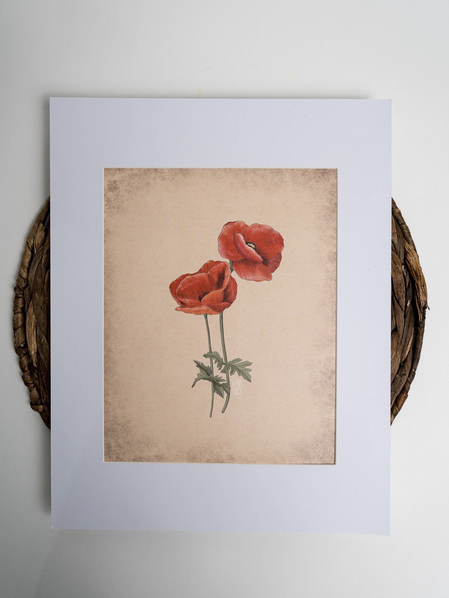 Art Print - Red Poppy - 4