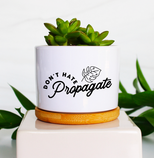 Don't Hate Propagate - 1