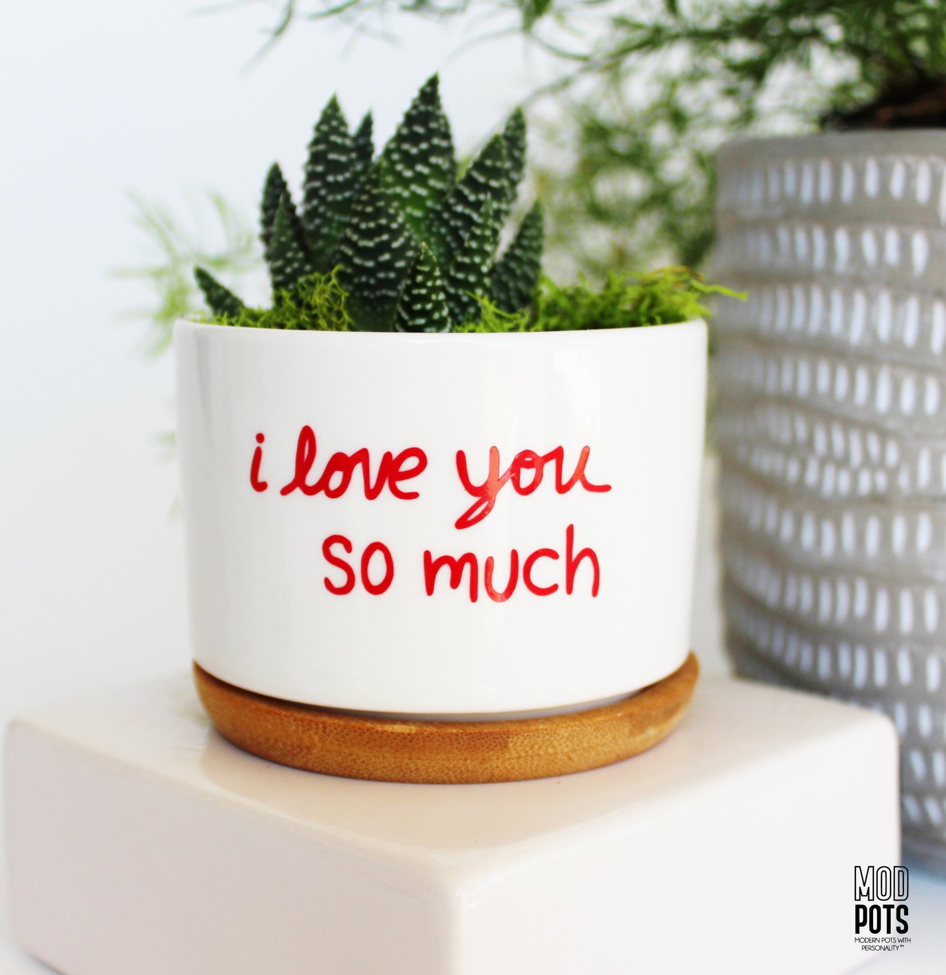 Mod Pots - i love you so much - 1