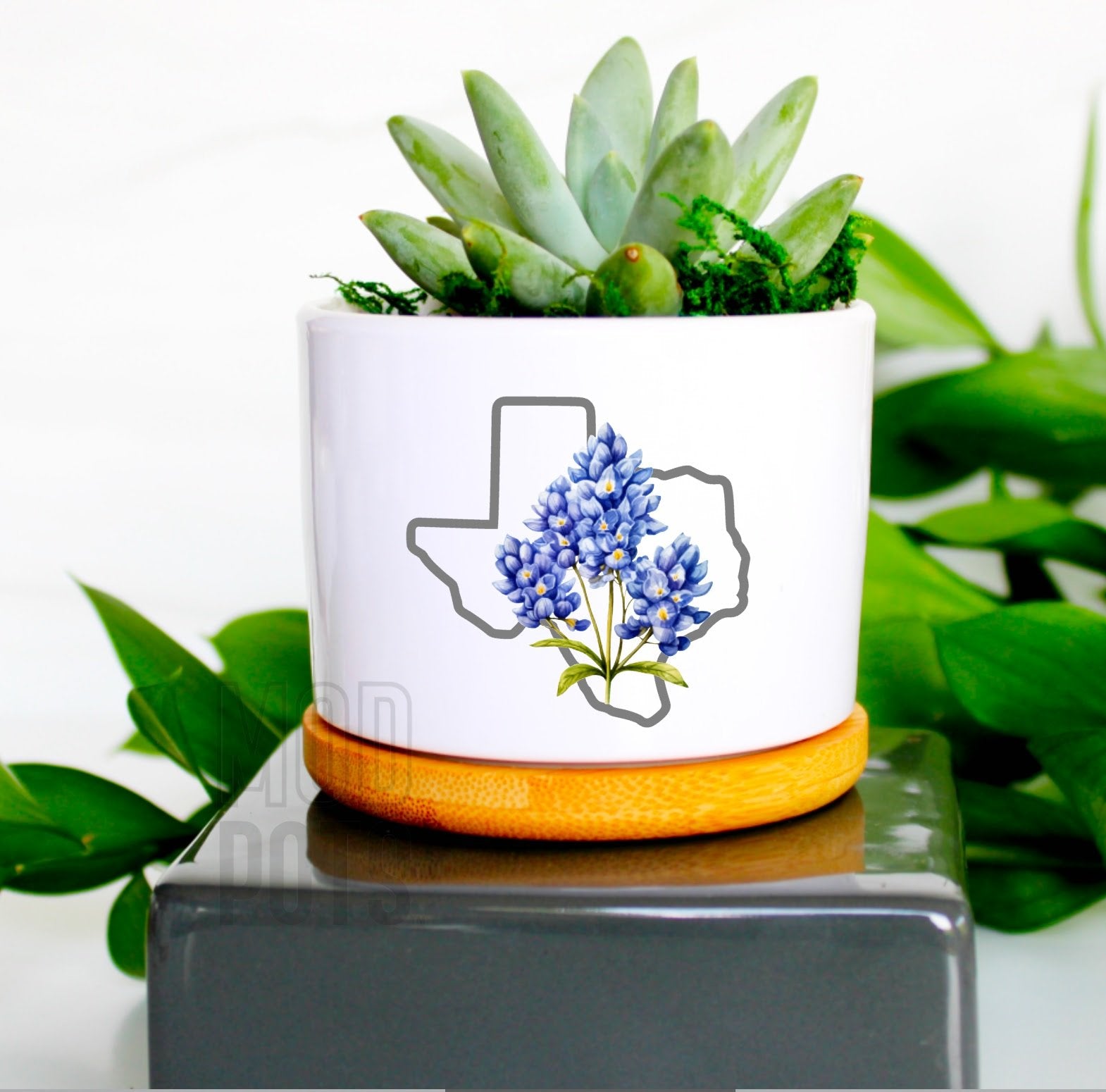 Mod Pots - Texas Bluebonnets - 1