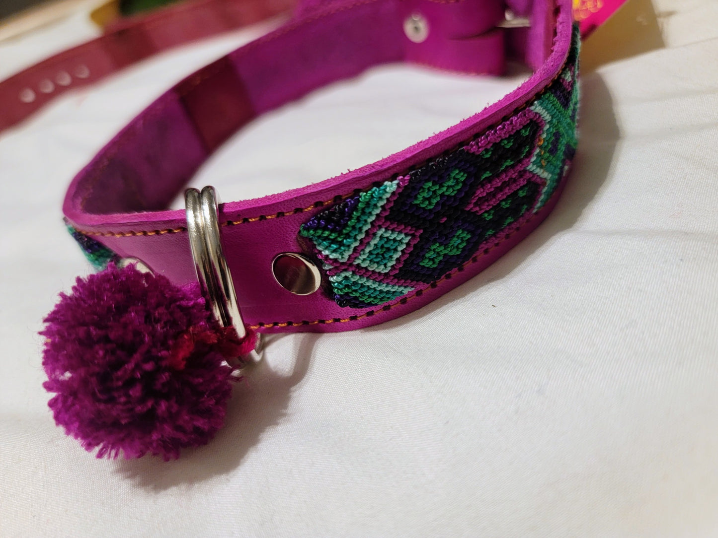 Large Dog Collars - 1