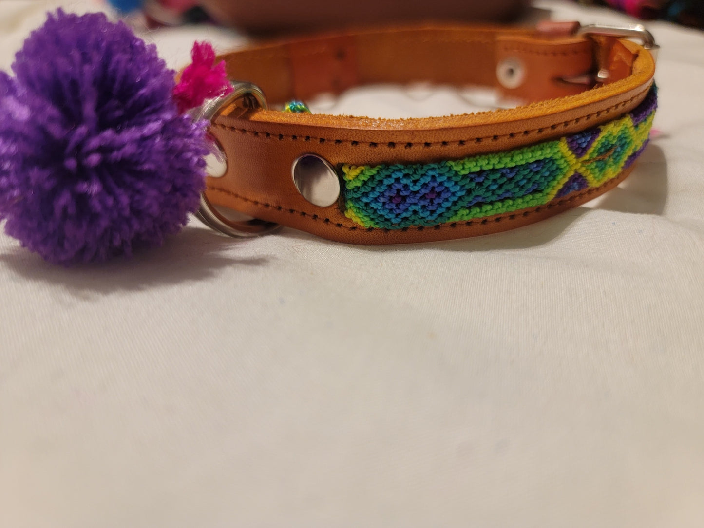 Medium Dog Collars - 5