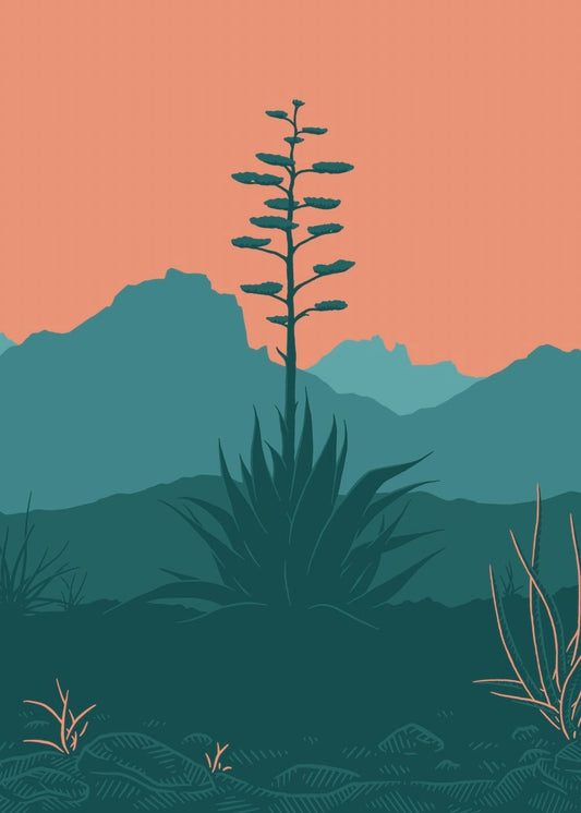 65b2bb63f348b87cbe1f70aa_agave_1782250330893.jpg
