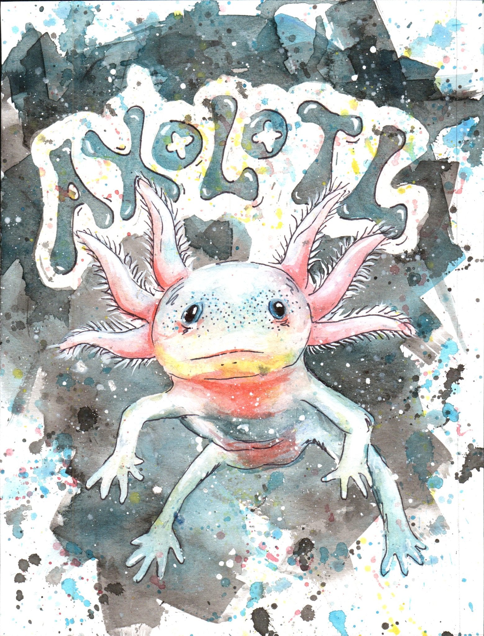 65b2bb63f348b87cbe1f70aa_axolotl_1767214042067.jpg