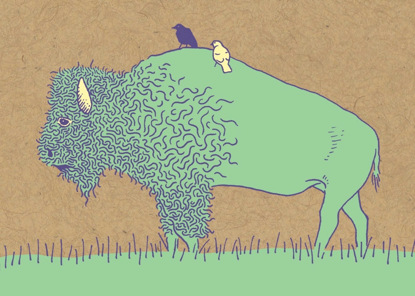 65b2bb63f348b87cbe1f70aa_bison-with-bird-friends_1782249961648.jpg