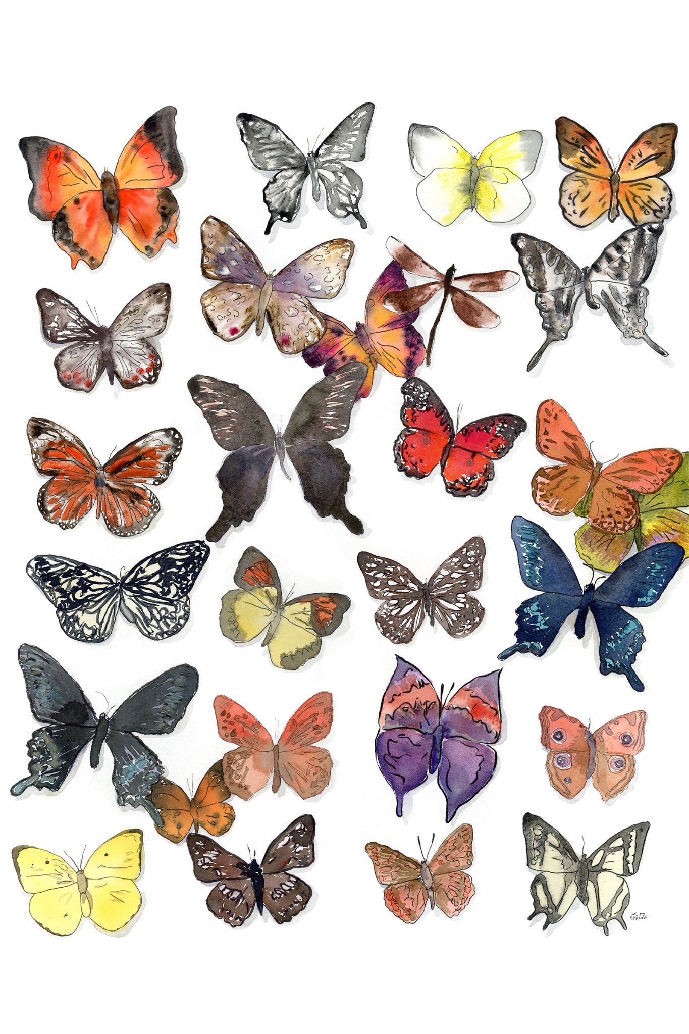 65b2bb63f348b87cbe1f70aa_butterfly-4x6_1784246911389.jpg