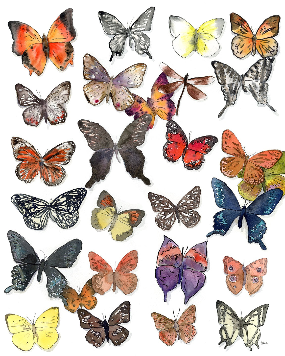 65b2bb63f348b87cbe1f70aa_butterfly-low-res_1790956887792.jpg